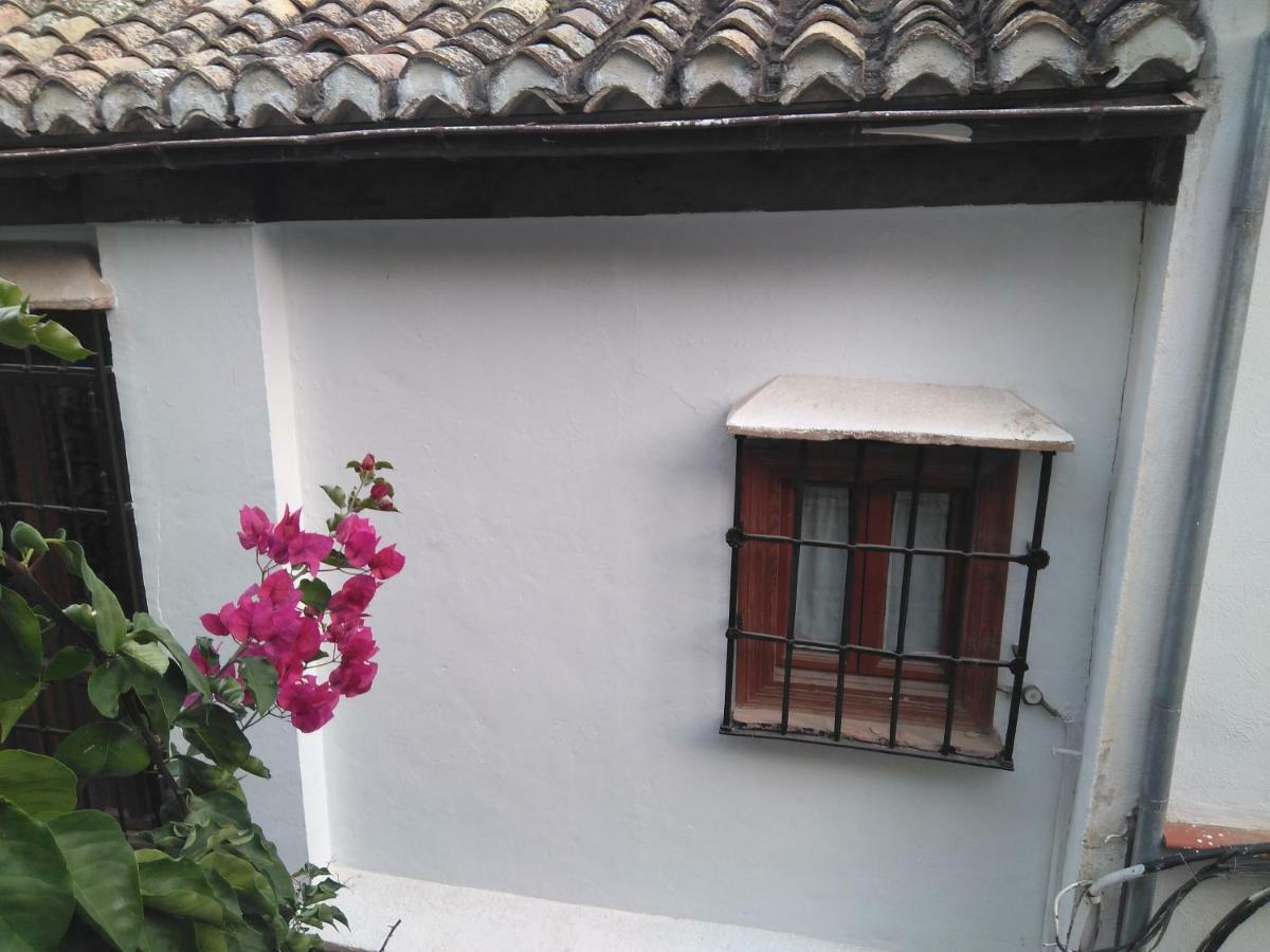 グラナダCasa-Mirador La Alhacenaアパートメント エクステリア 写真